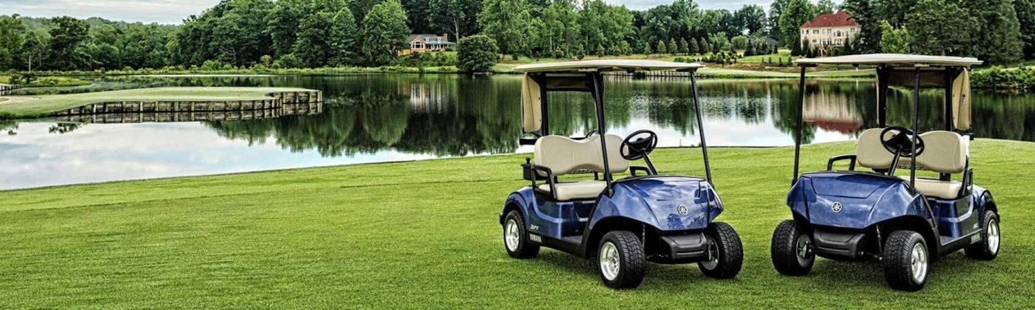 2020 Club Car® Onward® 2 Passenger Gas for sale in Carts Plus, Kelowna, British Columbia