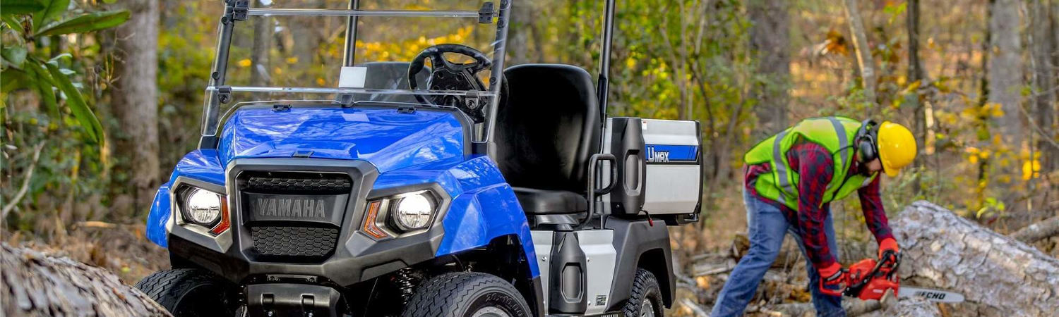 2020 Yamaha UMAX One for sale in Carts Plus, Kelowna, British Columbia